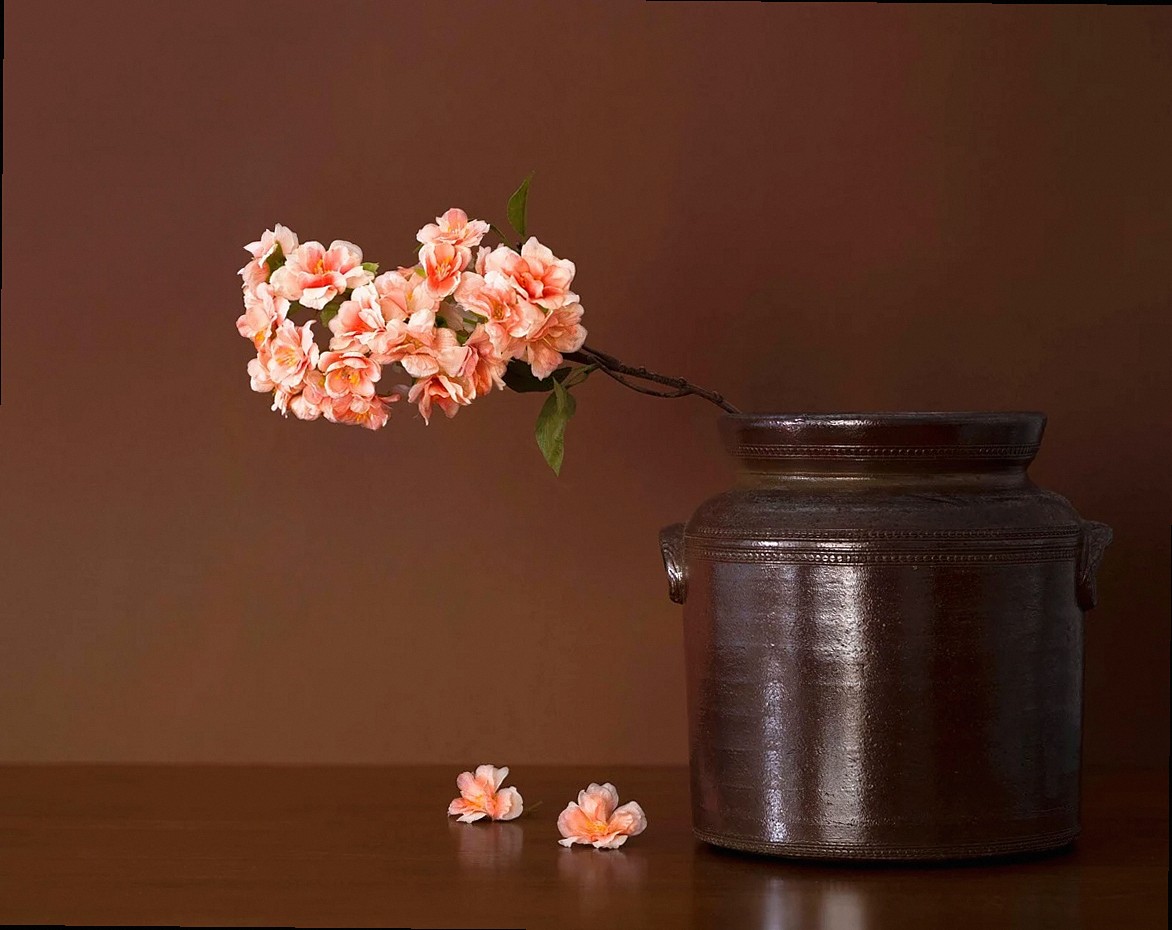 flowers, blossoms, beautiful flowers, nature, bloom, flower wallpaper, flora, still life, vintage, pot, vase, reflection